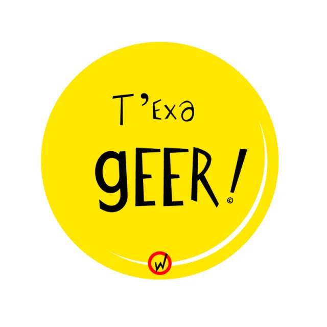 GEER-JAUNE.png